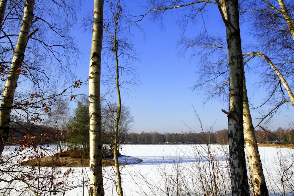 Hotel Am Springhorstsee โกรสบวร์กวีเดิล ภายนอก รูปภาพ